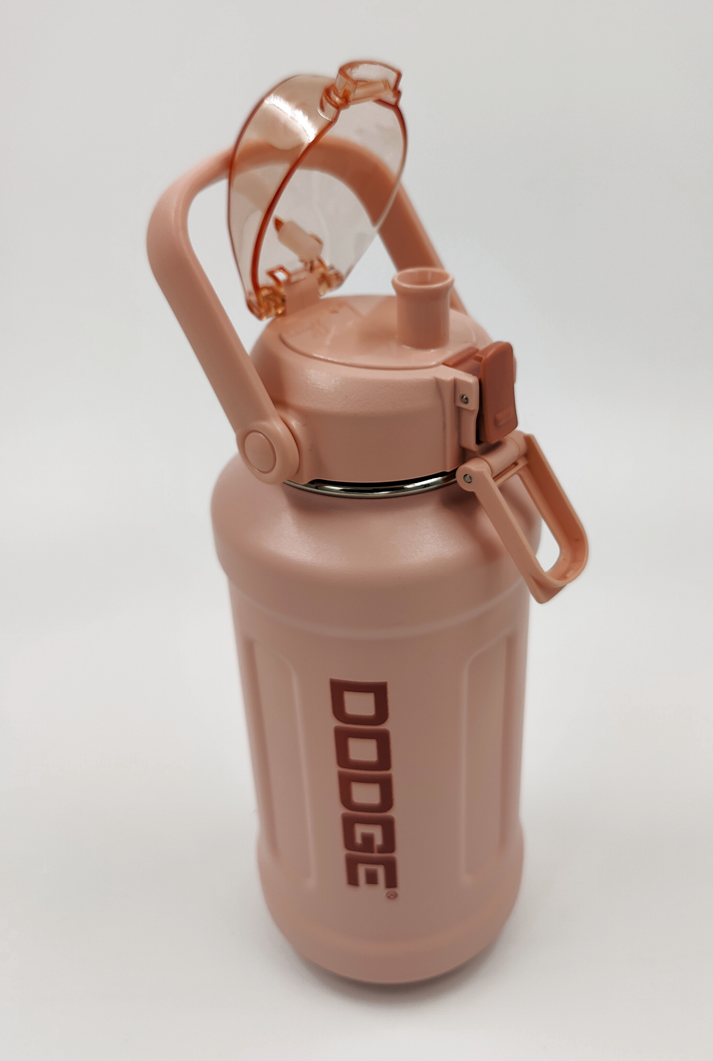 Dodge FreeSip Insulated Water Bottle with Straw – 950ml | SS316 | BPA-Free (Pink)