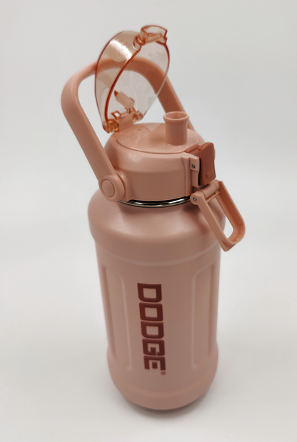Dodge FreeSip Insulated Water Bottle with Straw – 950ml | SS316 | BPA-Free (Pink)