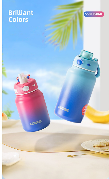 Dodge Insulated Stainless Steel Water Bottle – 750ml | SS316 | Hot & Cold | BPA-Free