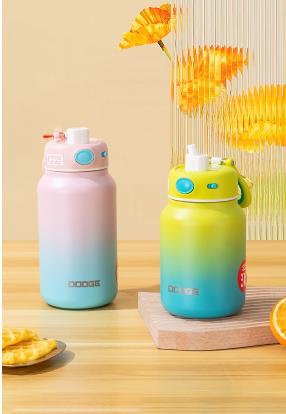 Dodge Insulated Stainless Steel Water Bottle – 750ml | SS316 | Hot & Cold | BPA-Free