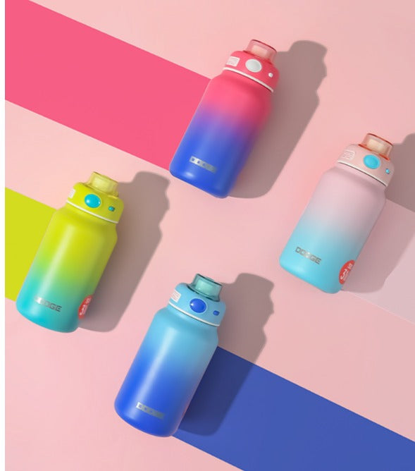 Dodge Insulated Stainless Steel Water Bottle – 750ml | SS316 | Hot & Cold | BPA-Free