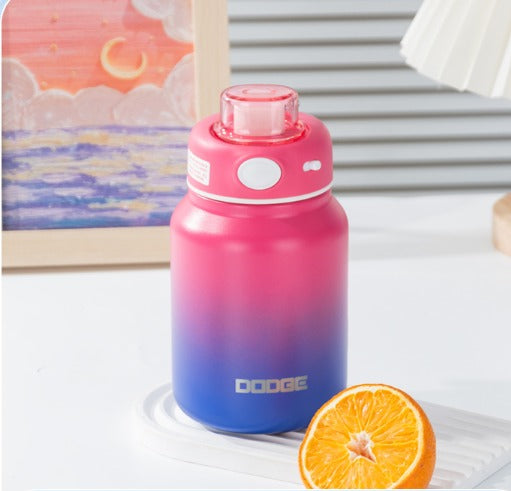Dodge Insulated Stainless Steel Water Bottle – 750ml | SS316 | Hot & Cold | BPA-Free