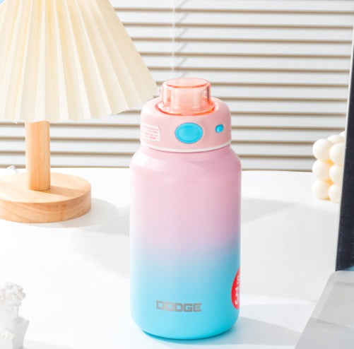 Dodge Insulated Stainless Steel Water Bottle – 750ml | SS316 | Hot & Cold | BPA-Free