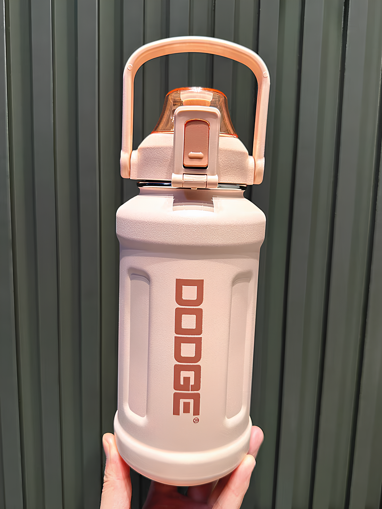 Dodge FreeSip Insulated Water Bottle with Straw – 950ml | SS316 | BPA-Free (Pink)