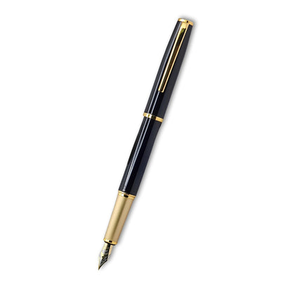 PAILI Premium Matte Finish Fountain Pen – Brushed Champagne Gold Grip (Available in Multiple Colors)