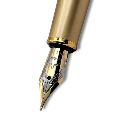 PAILI Premium Matte Finish Fountain Pen – Brushed Champagne Gold Grip (Available in Multiple Colors)